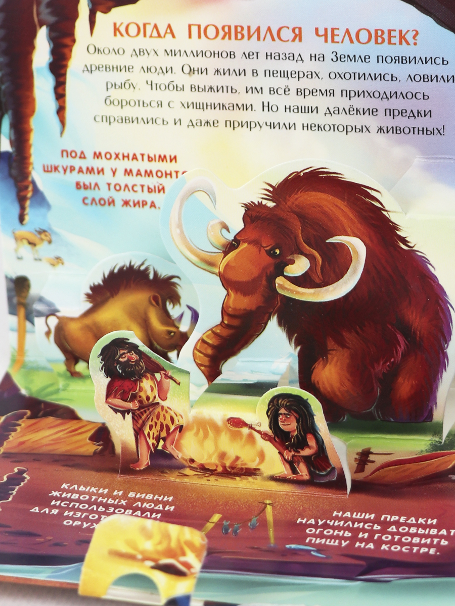 Набор книг Malamalama Коллекция карманных объемных энциклопедий о животных в сундучке - фото 12