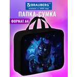 Папка для тетрадей Brauberg Звездный кот А4