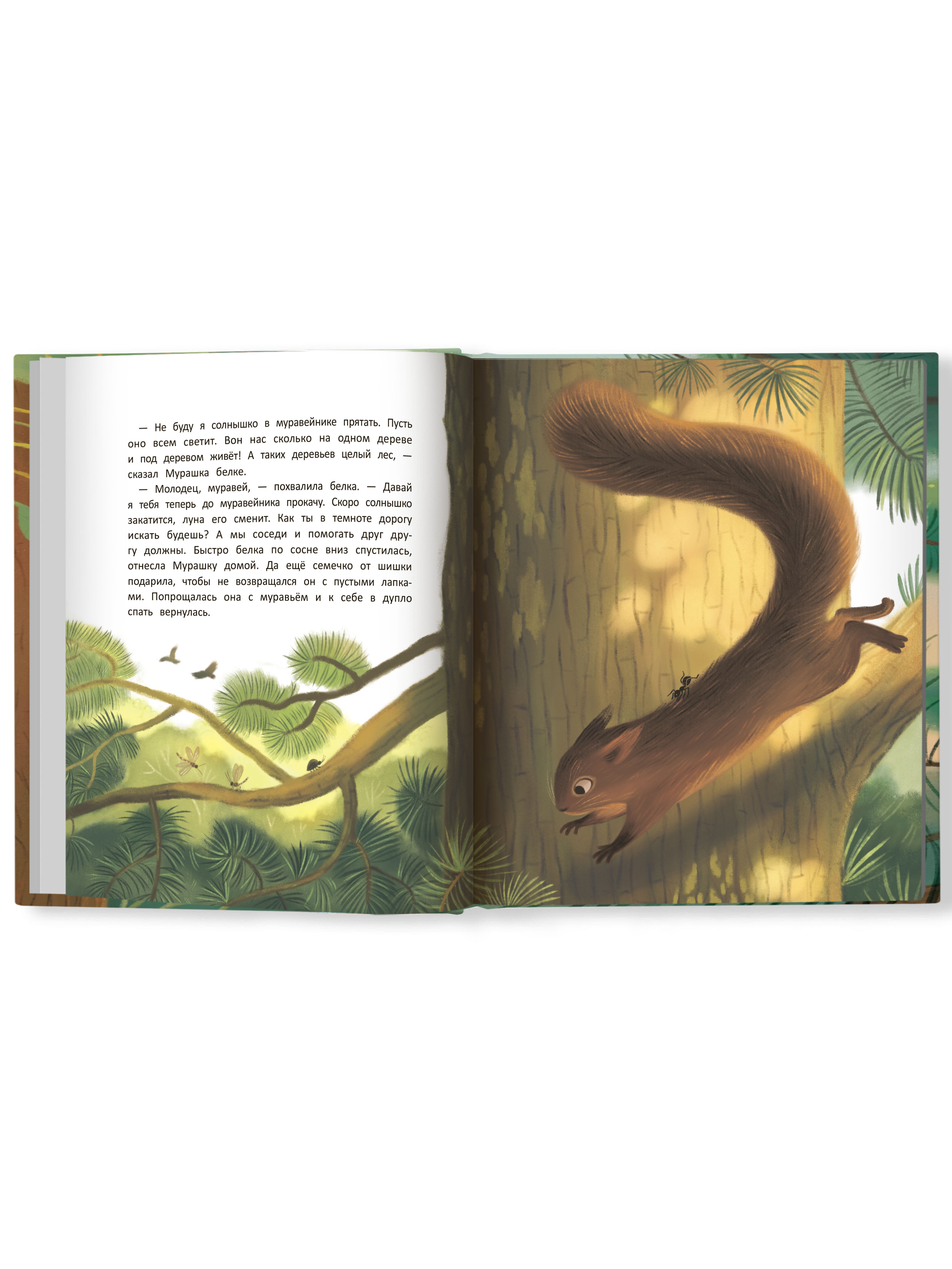 Книга Феникс Премьер Как муравей за солнышком ходил. Добрая сказка - фото 12