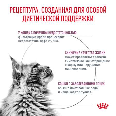 Корм для кошек ROYAL CANIN Renal RF23 лечение заболеваний почек 4кг
