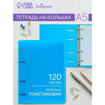 Тетрадь Calligrata клетка