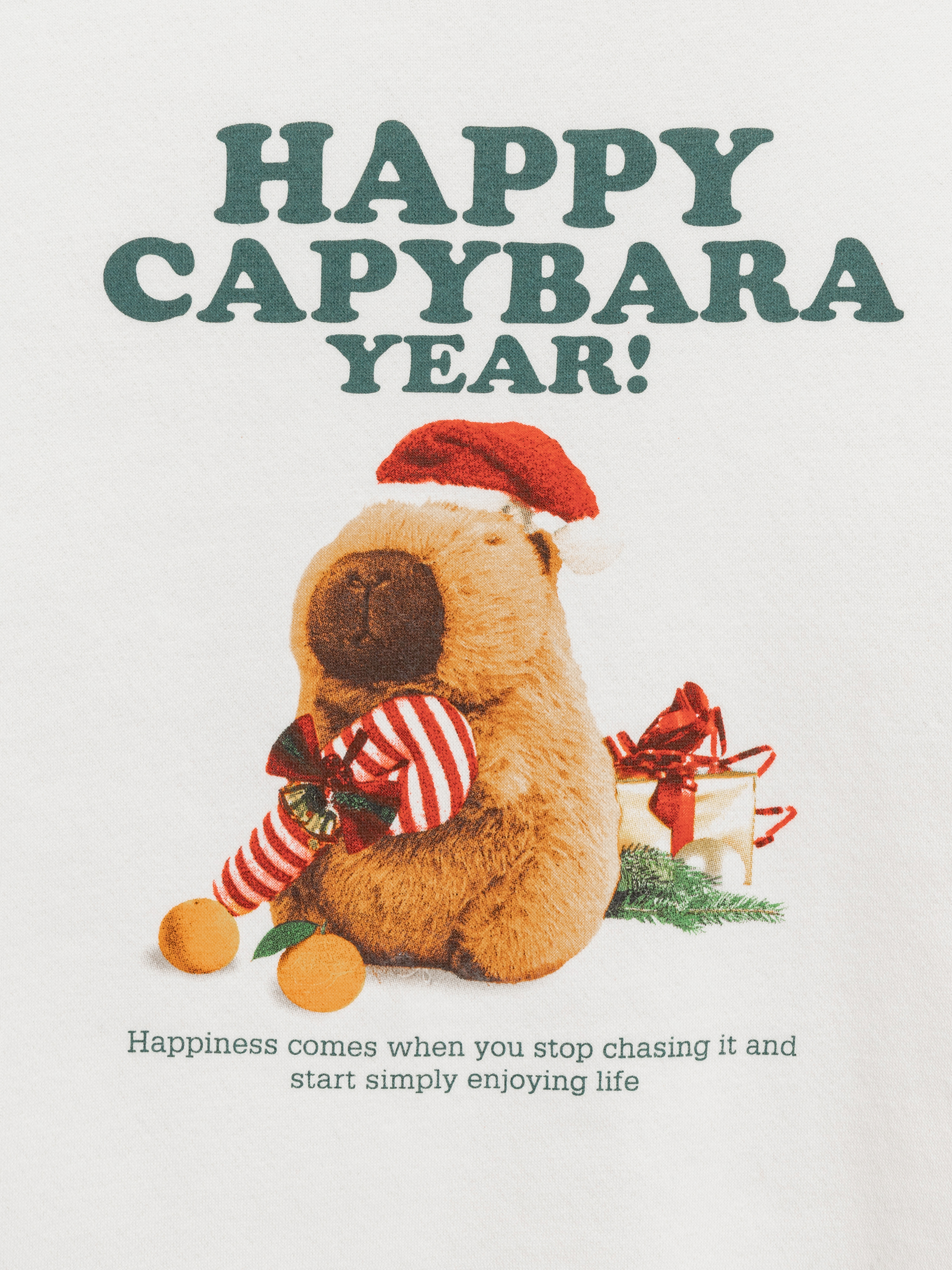 Свитшот Acoola 20230170024_0093552 - фото 5