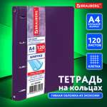 Тетрадь со сменным блоком Brauberg клетка 120 лист.