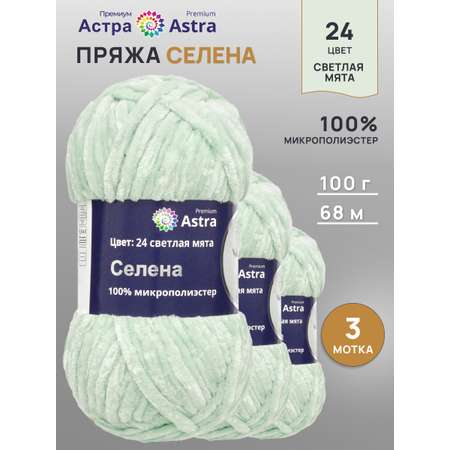Пряжа для вязания Astra Premium селена мягкая микрополиэстер 100 гр 68 м 24 светлая мята 3 мотка