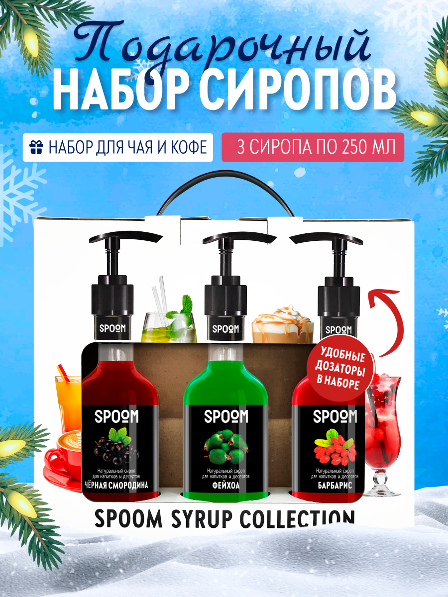 Изображение товара Набор сиропов SPOOM Черная смородина Фейхоа Барбарис 3шт 250мл + 3 дозатора