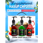 Изображение товара Набор сиропов SPOOM Черная смородина Фейхоа Барбарис для коктейлей чая и кофе 3шт 250мл + 3 дозатора