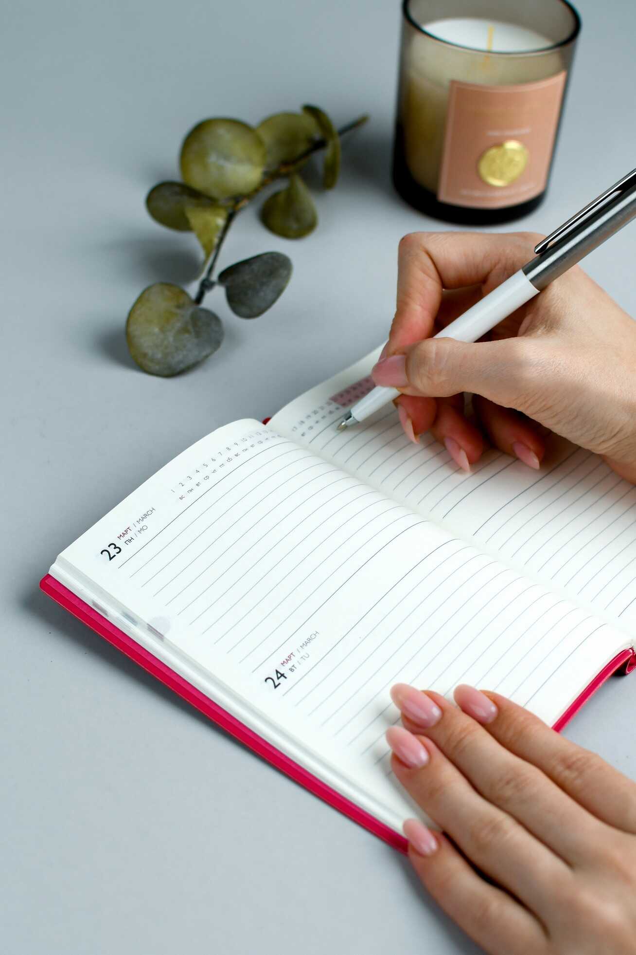 Ежедневник Феникс + ESCALADA 120 лист. - фото 13