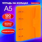 Тетрадь со сменным блоком Brauberg клетка 120 лист.