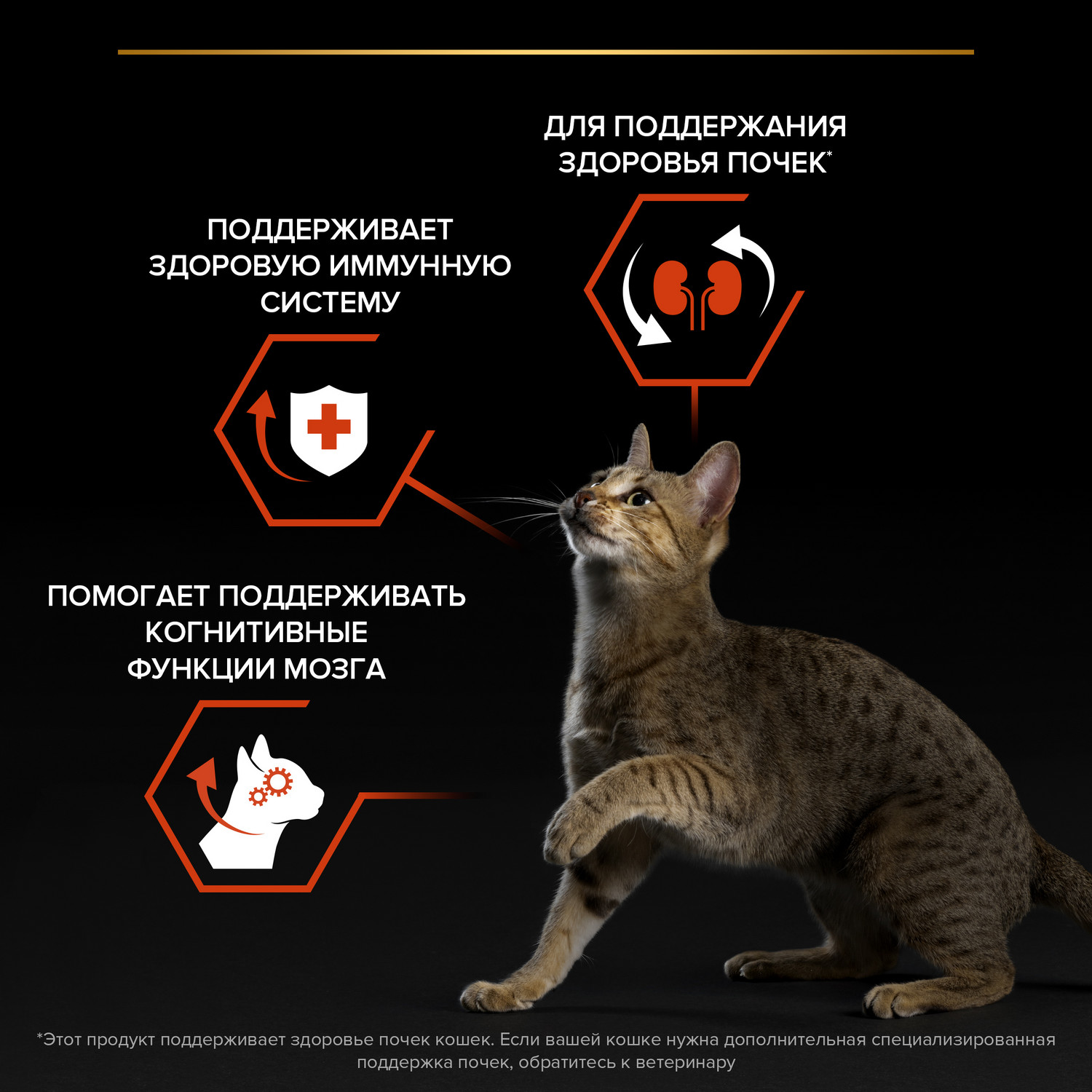 Корм сухой для кошек PRO PLAN VITAL FUNCTIONS 3 кг с лососем - фото 4