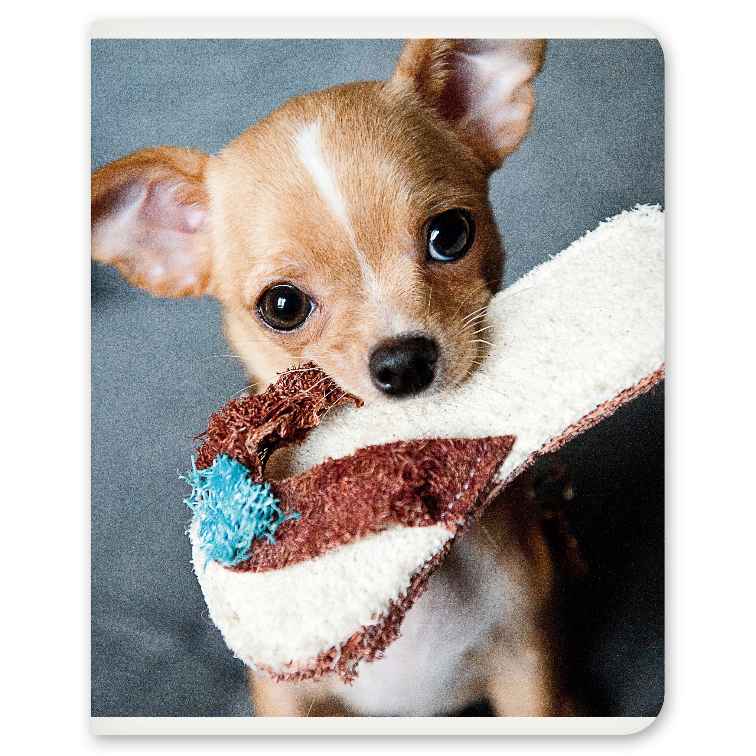 Общая тетрадь Полиграф Принт клетка 48 лист. в ассортименте - фото 2