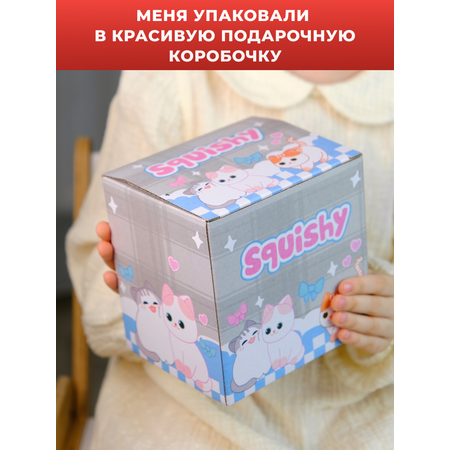 Сквиш DinRen
