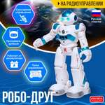Робот РУ Автоград «Робо друг»