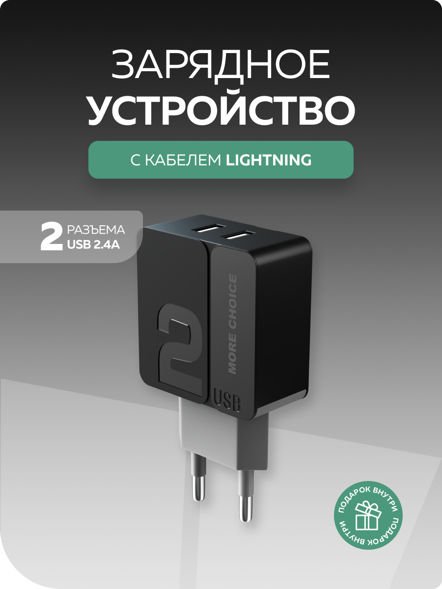 Сетевое зарядное устройство More Choice NC46i - фото 2