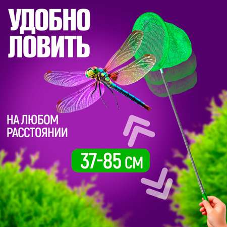 Сачок для бабочек телескопический 1TOY 37-85 см 1TOY детский для насекомых птиц рыбок 2в1 большой и маленький