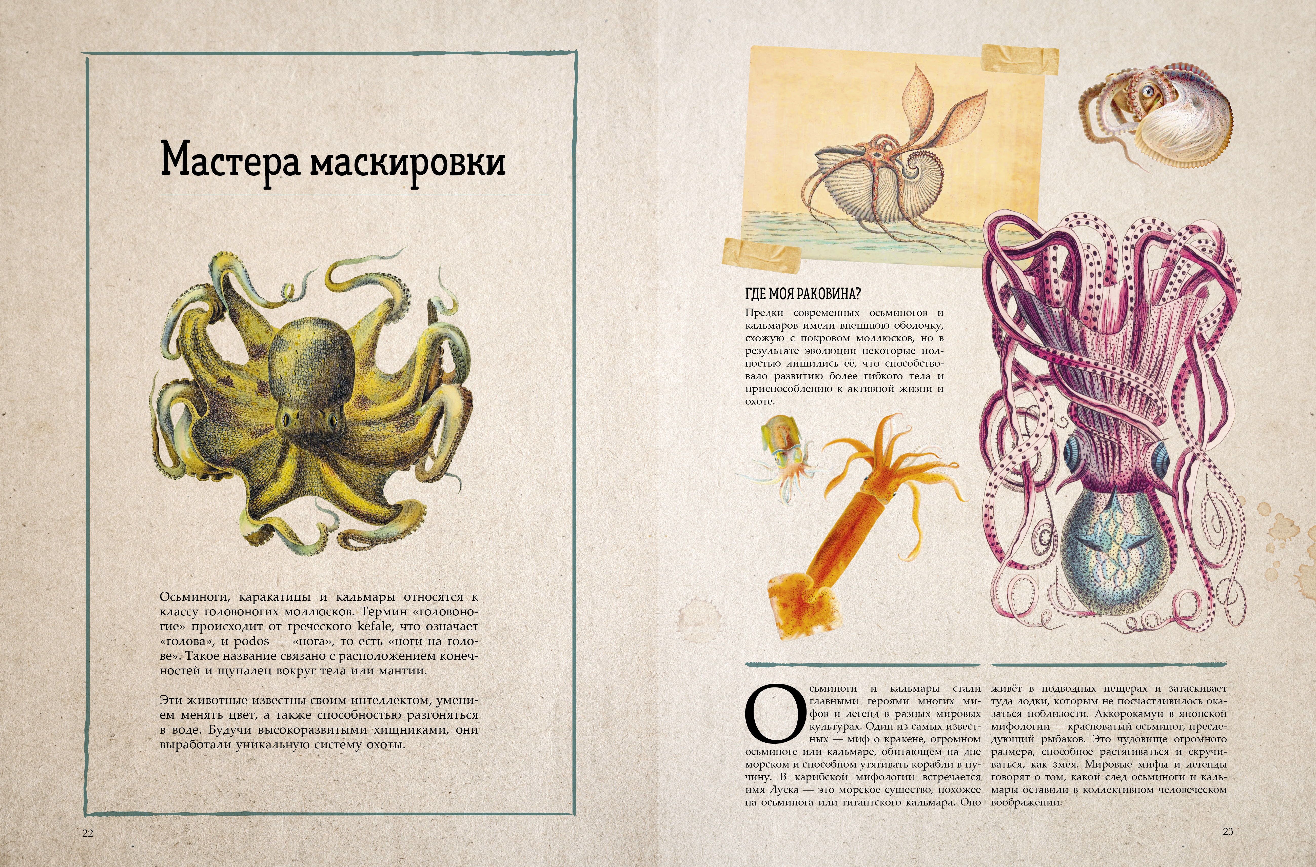 Книга Clever Удивительные энциклопедии - фото 3