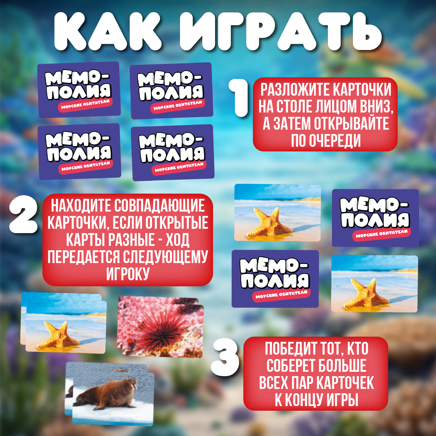 Настольная игра Attivio Мемори Морские обитатели - фото 3