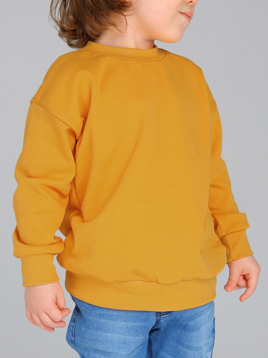 Свитшот Дашенька 1697/144 - фото 4