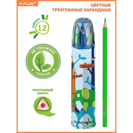 Карандаши цветные Y-plus 12 шт.