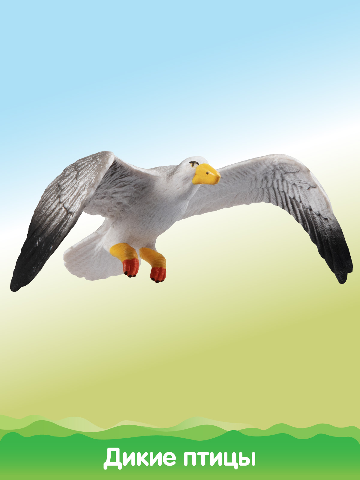 Игровой набор DARWIN Животные Птицы - фото 9