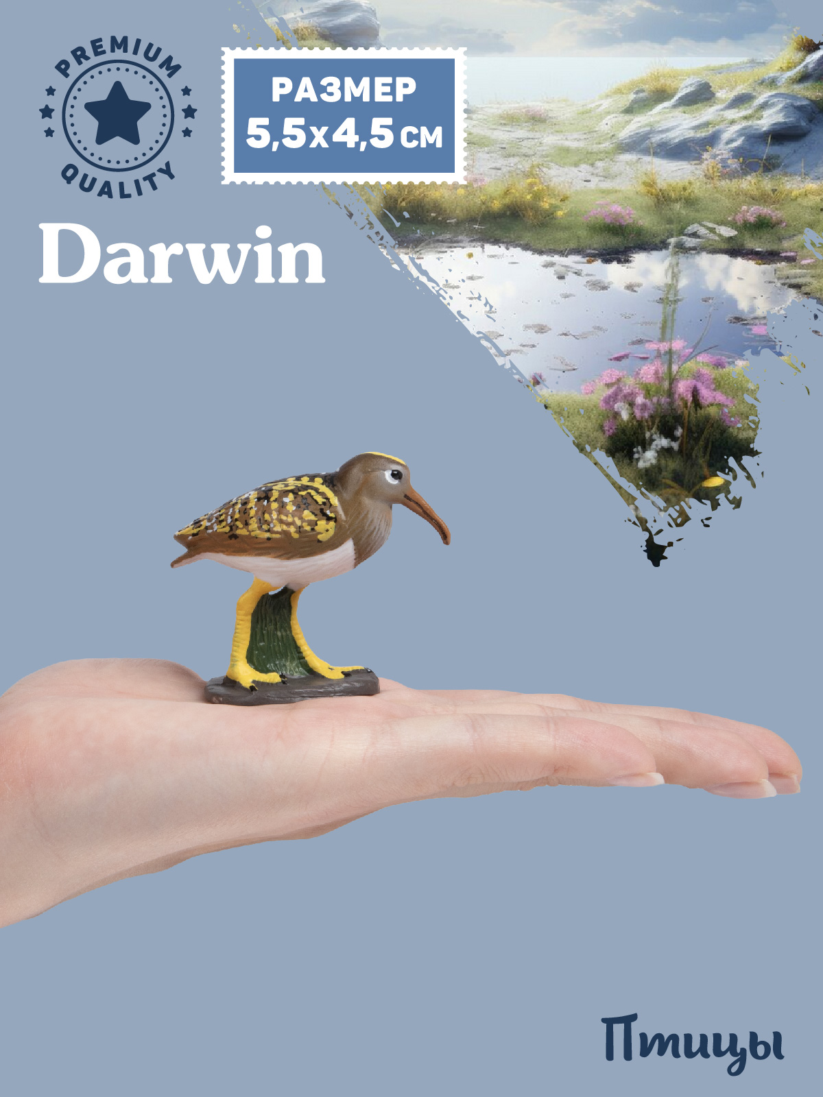 Фигурка DARWIN Птицы Южноамериканский бекас - фото 2