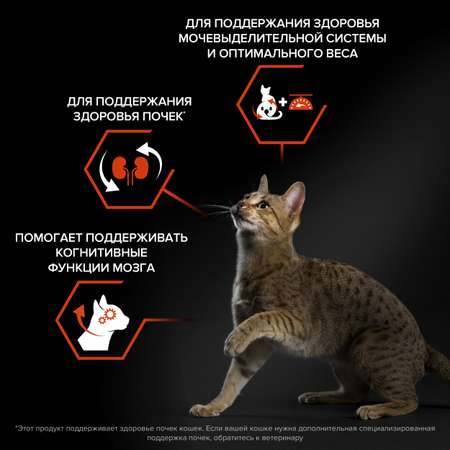 Корм сухой для кошек PRO PLAN 400г с лососем при стерилизации и кастрации для поддержания органов чувств