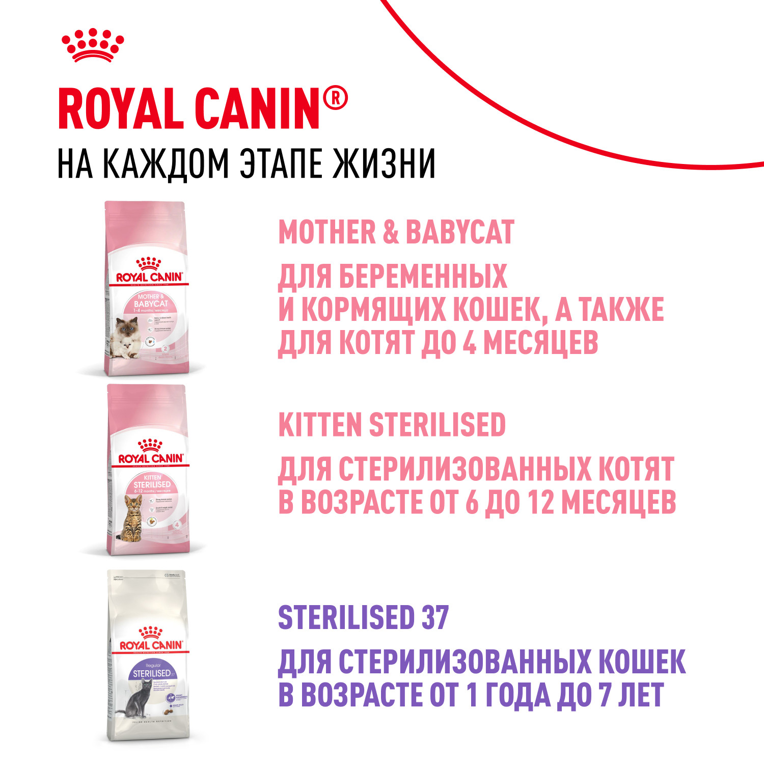 Корм сухой для котят ROYAL CANIN Kitten 2кг - фото 10