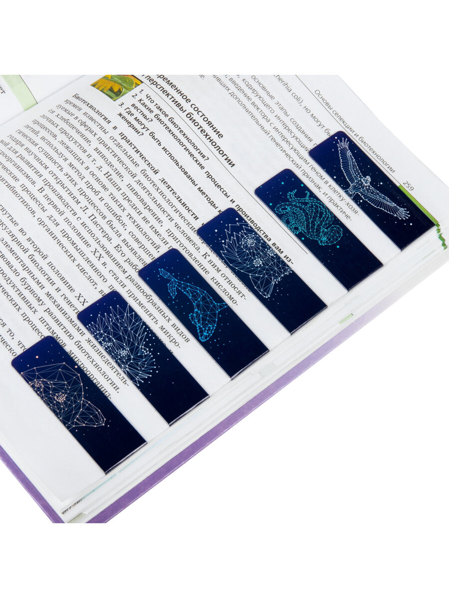 Магнитная закладка Brauberg 12 шт. - фото 13