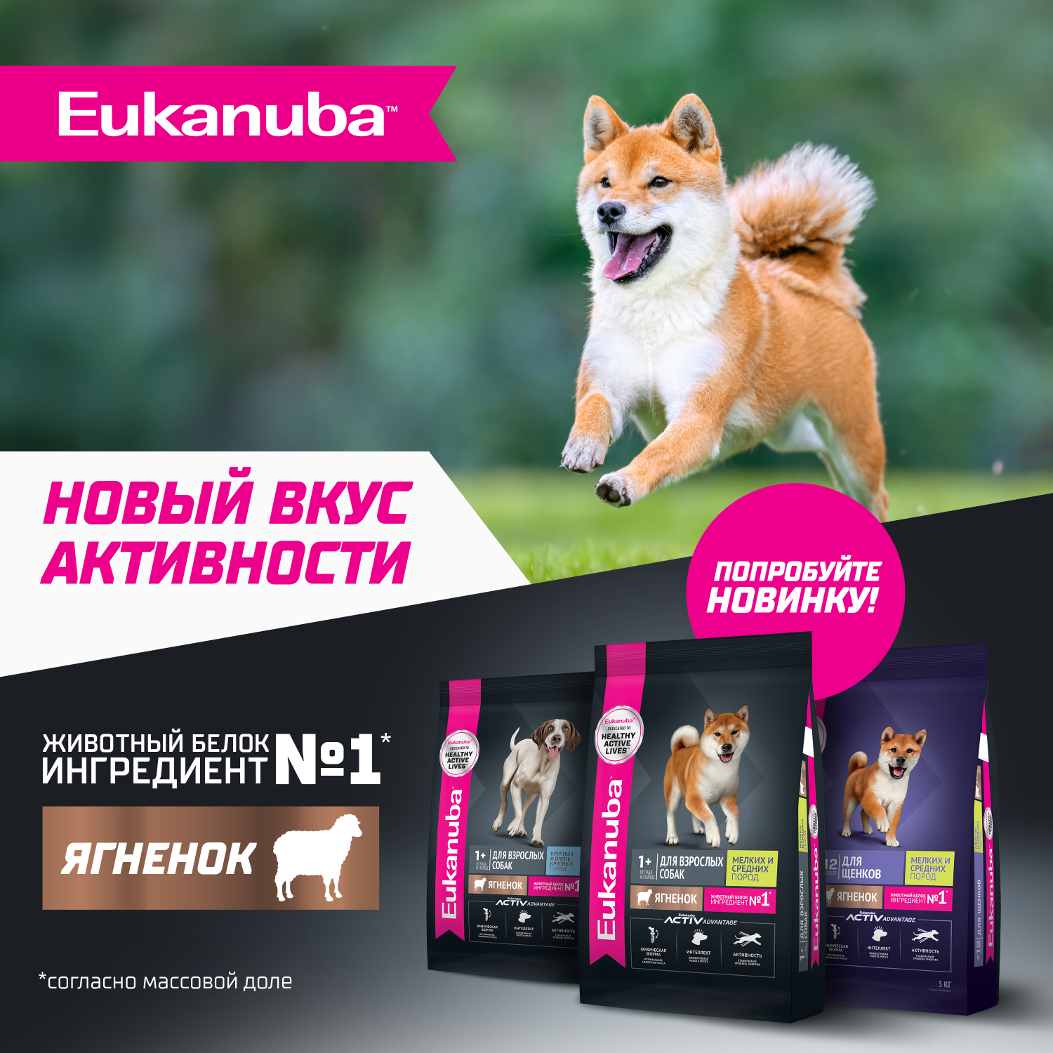 Корм сухой Eukanuba для щенков мелких и средних пород до 12 месяцев с ягненком 7кг - фото 10