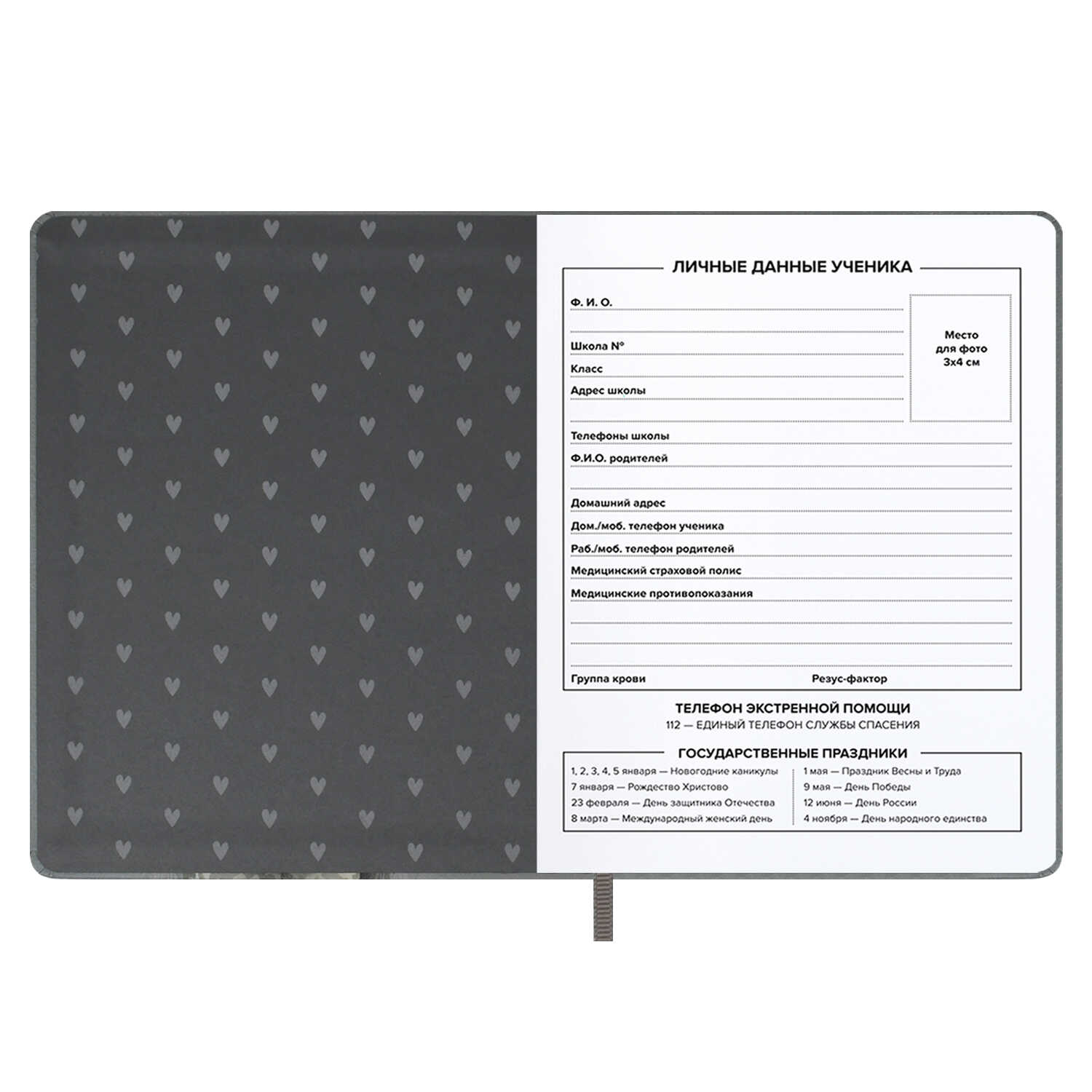 Дневник школьный Феникс + Девочка в бандане - фото 14