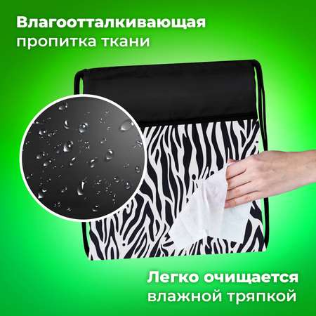 Мешок для обуви Brauberg