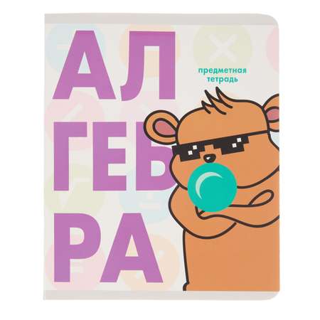 Тетрадь Erhaft 48 лист. (Алгебра)