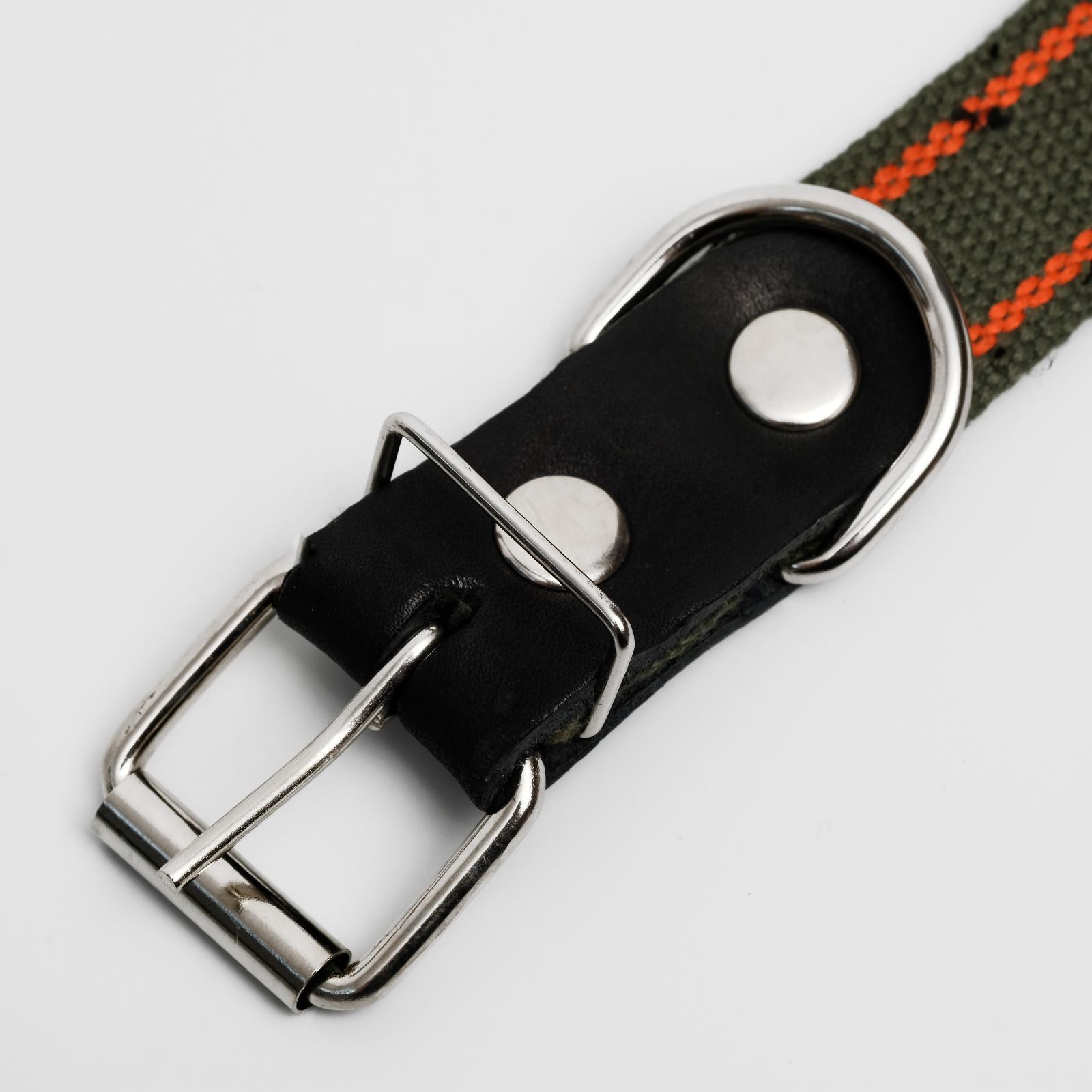 Ошейник Пижон брезентовый щенячий однослойный 67 х 3 см хаки/оранжевый - фото 3