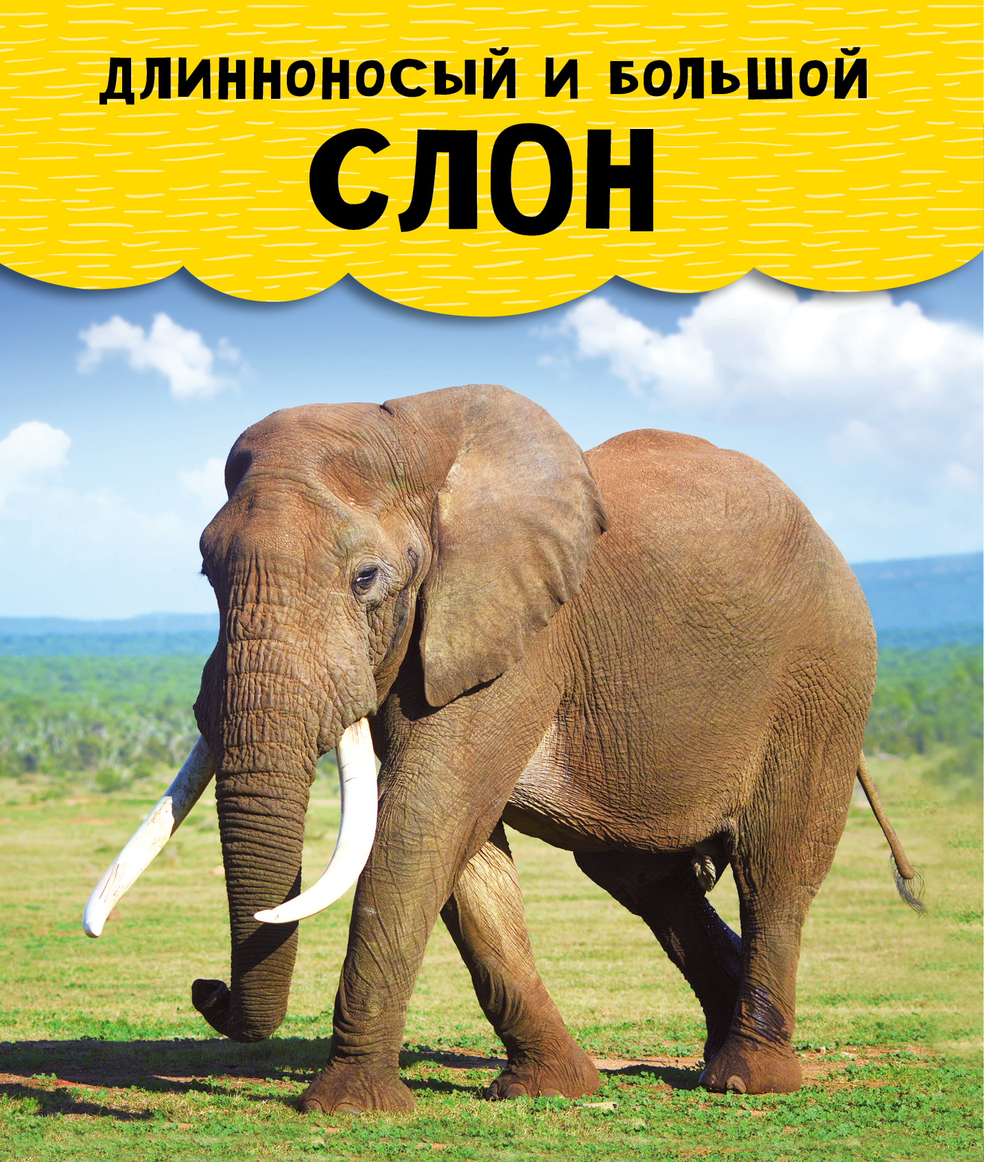 Энциклопедия для малышей АСТ Животные - фото 6
