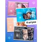 Альбом AXLER А4 40 лист. 4 шт.