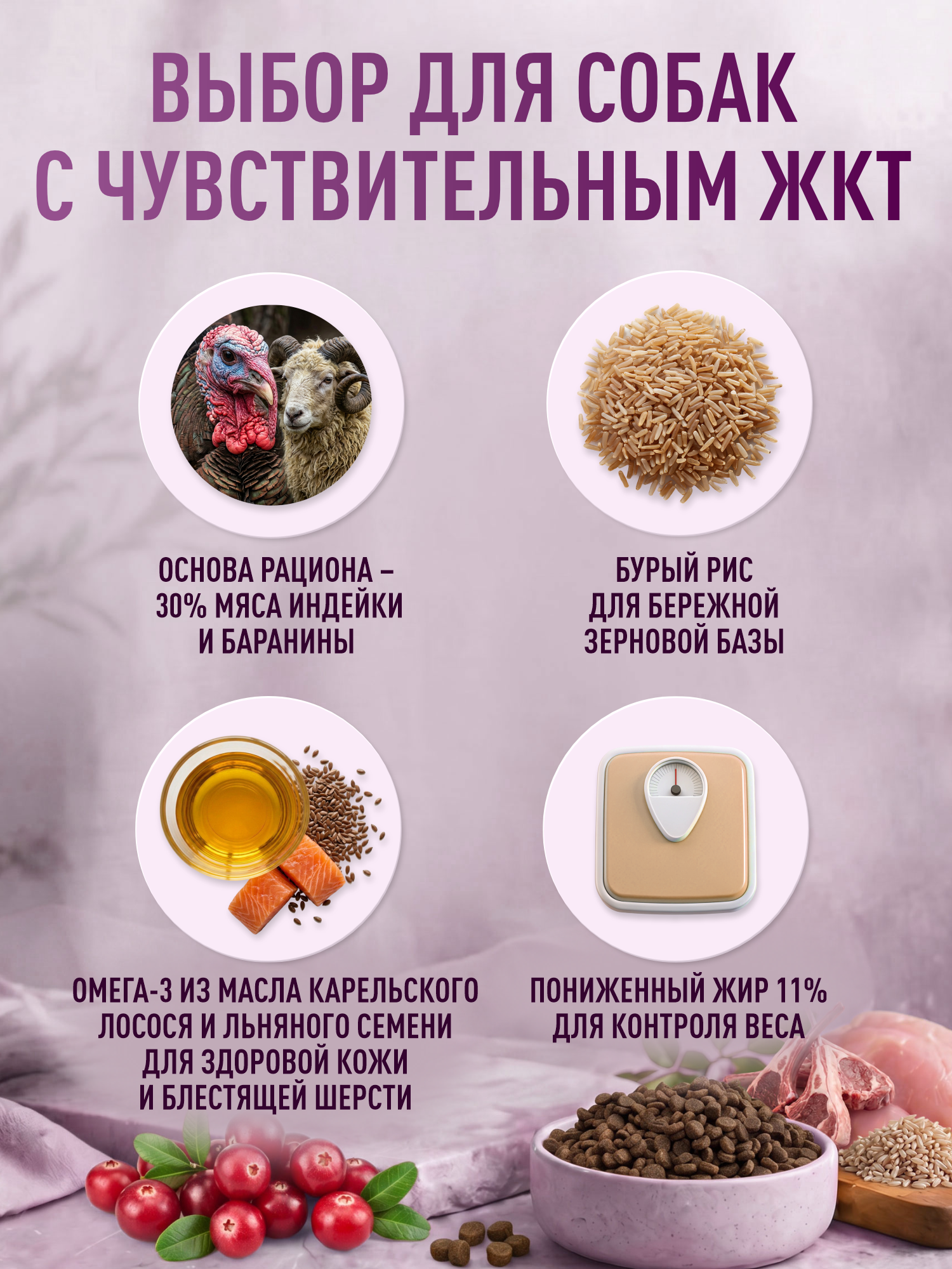 Корм для собак мелких сухой Clan Classic Hypoallergenic 23/11 гипоаллергенный ягненок и индейка 1.25кг - фото 2
