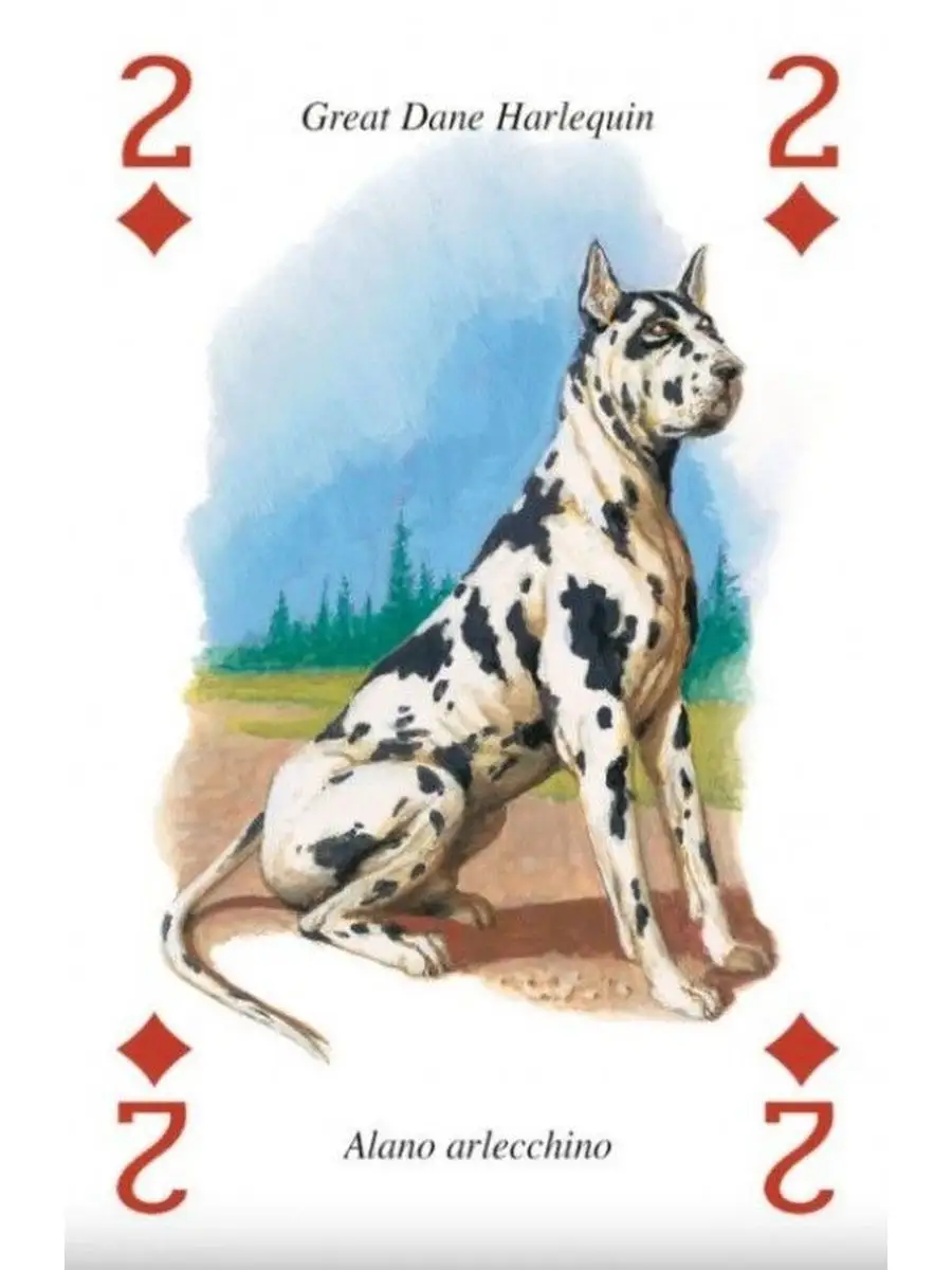 Настольная игра Lo Scarabeo Alice Playing Cards - фото 5