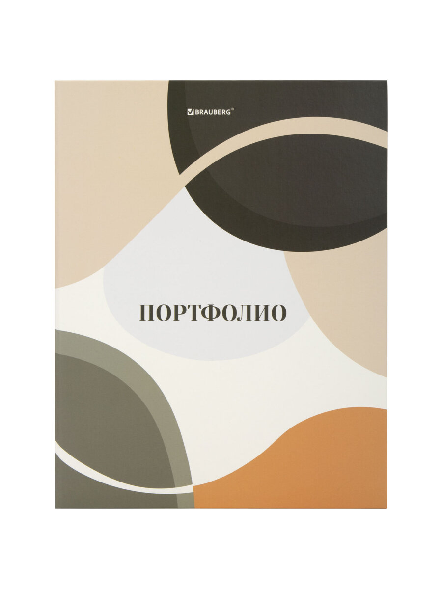 Портфолио школьника Brauberg папка А4 на кольцах 20 файлов для девочки и мальчика - фото 2