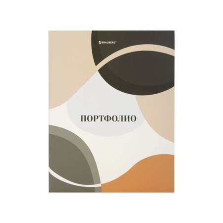 Портфолио школьника Brauberg папка А4 на кольцах 20 файлов для девочки и мальчика