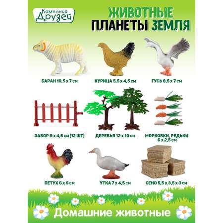 Игровой набор DARWIN Домашние животные 11шт
