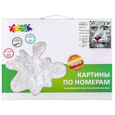 Картина по номерам Цветной