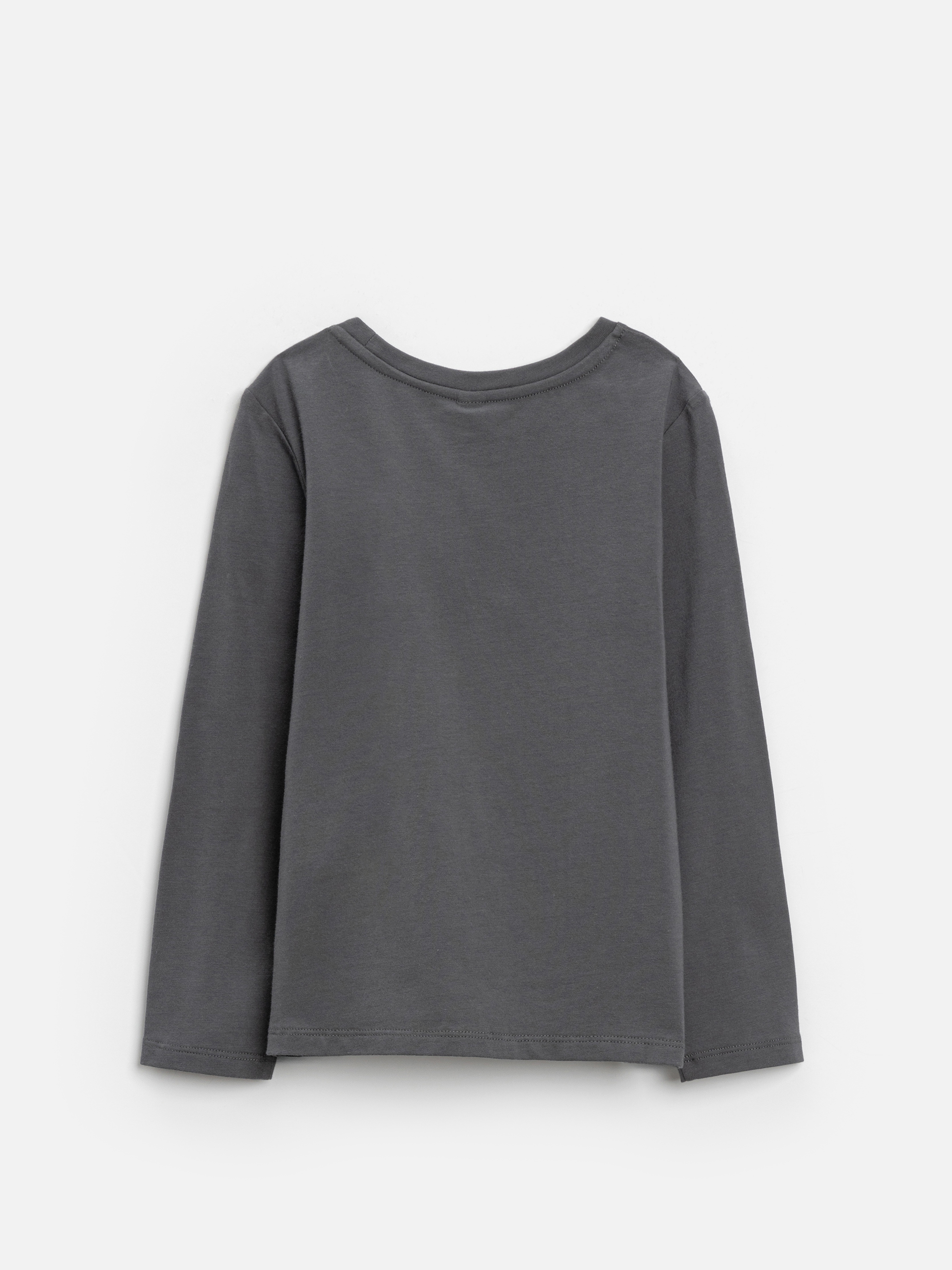 Лонгслив Acoola 20220150117_0089612 - фото 6