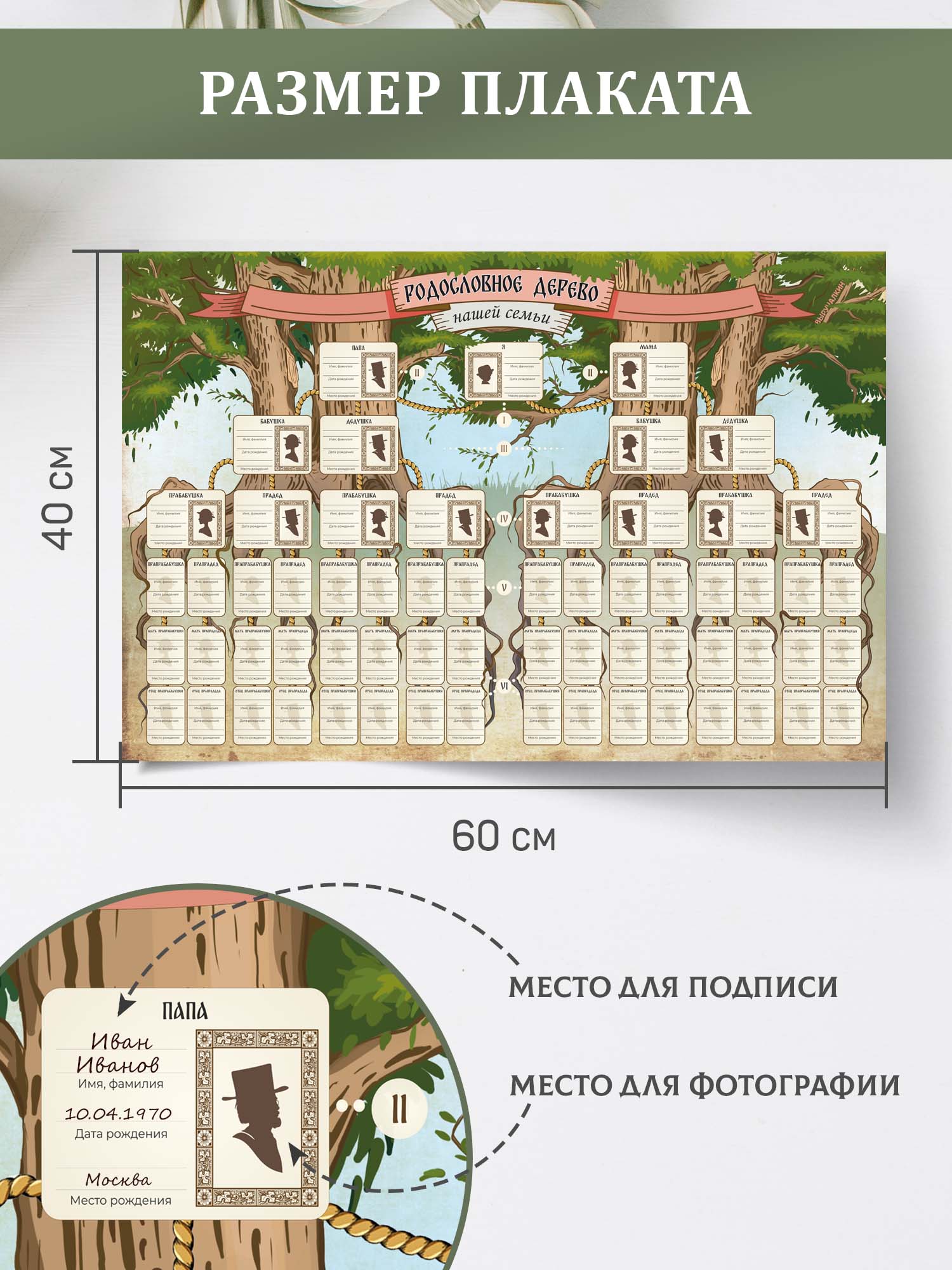 Плакат Выручалкин Родословное древо - фото 2
