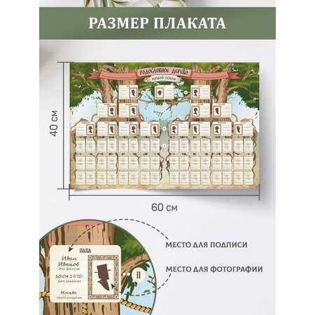 Плакат Выручалкин Родословное древо