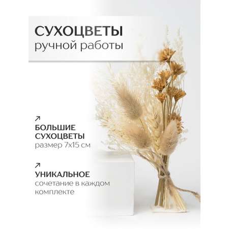 Диффузор с сухоцветами в Премиум тубусе Accents Mango Skin