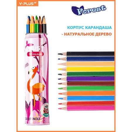 Карандаши цветные Y-plus 12 шт.