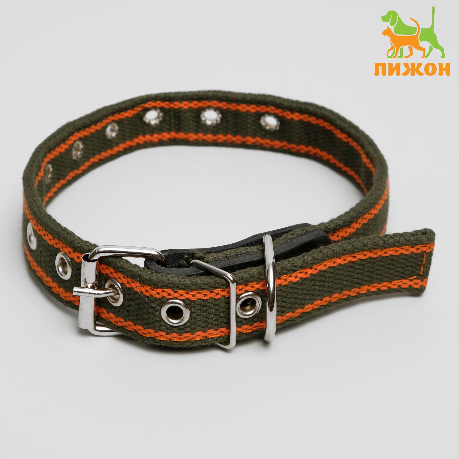 Ошейник Пижон брезентовый щенячий двухслойный 54 х 2.5 см хаки/оранжевый - фото 2