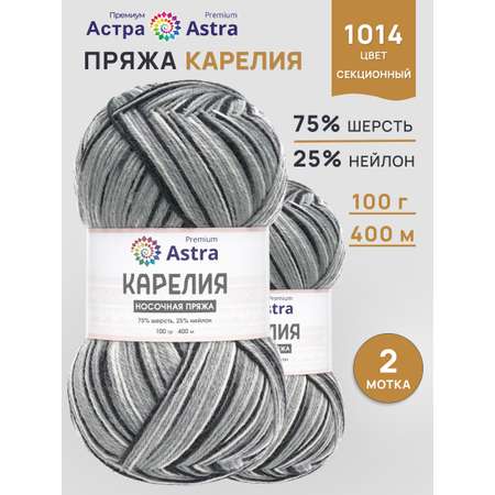 Пряжа для вязания носочная Astra Premium 100г 400м 2шт