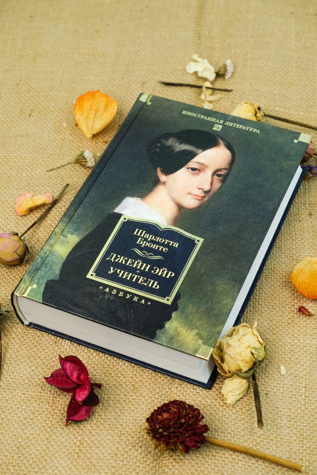 Книга АЗБУКА ИЛБК. Бронте Ш. Джейн Эйр. Учитель (с илл.) - фото 9