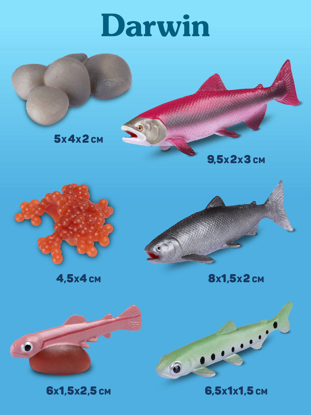 Игровой набор DARWIN Животные Морские обитатели 6шт - фото 4