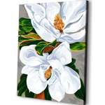 Картина по номерам Art sensation Шикарные цветы